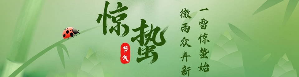 惊蛰彩信Banner