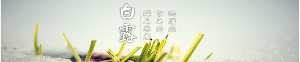 白露Banner