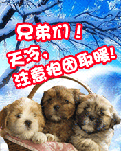 抱团取暖