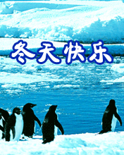 冬天快乐
