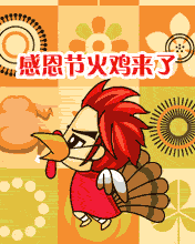 感恩火鸡来喽！