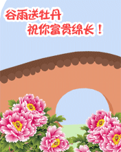 谷雨送牡丹祝你宝贵绵长