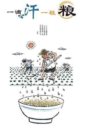 一滴汗一粒粮