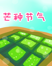 芒种气节