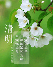 节日祝福彩信清明节彩信清明白花开