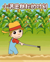 小满是耕耘的时节