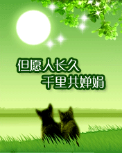 千里共婵娟 但愿人常久